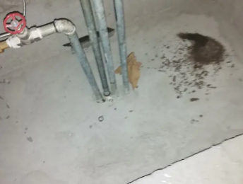 封丘卫生间测漏水价格明细